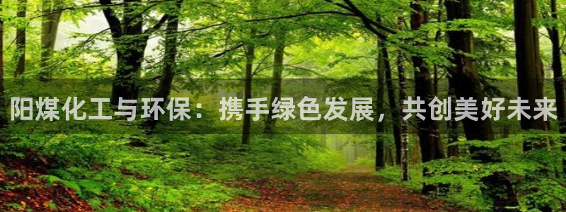 亿万先生mr：阳煤化工与环保：携手绿色发展，共创美好未来