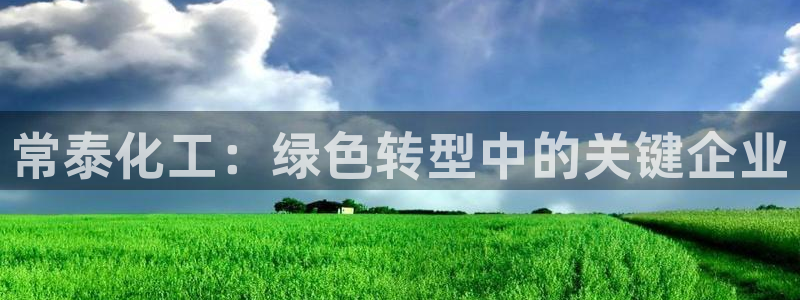 亿万先生是男是女：常泰化工：绿色转型中的关键企业