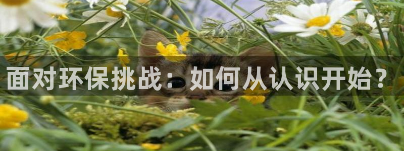 亿万网友在线实时为您解答：面对环保挑战：如何从认识开始？