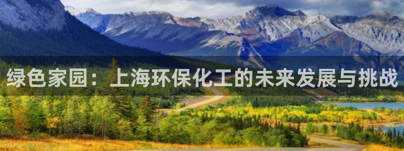 亿万首富游戏：绿色家园：上海环保化工的未来发展与挑战
