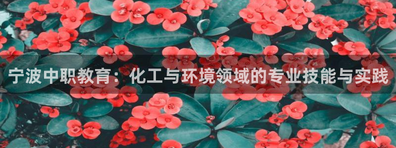 亿万首富游戏破解版无限钻石：宁波中职教育：化工与环境领域的专业技能与实践