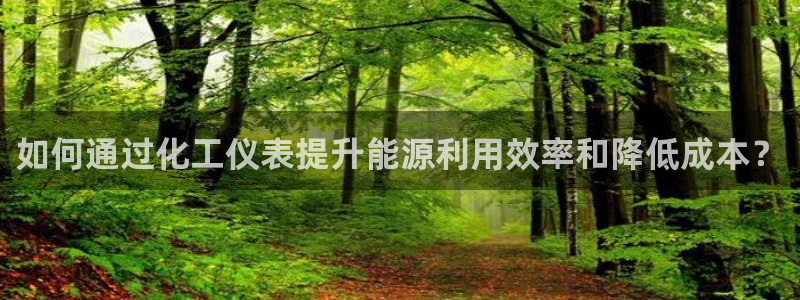 亿万的亿：如何通过化工仪表提升能源利用效率和降低成本？