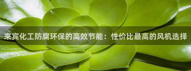 亿万讲什么：来宾化工防腐环保的高效节能：性价比最高的风机选择
