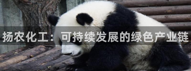 亿万先生网址生：扬农化工：可持续发展的绿色产业链