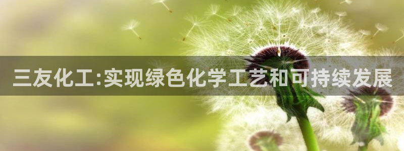 亿万先生合并网址是什么：三友化工:实现绿色化学工艺和可持续发展