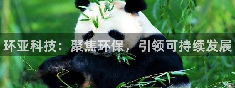 亿万千百十：环亚科技：聚焦环保，引领可持续发展