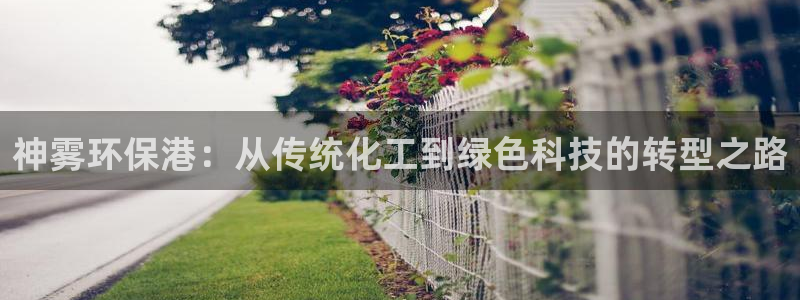 亿万先生换网址了吗知乎：神雾环保港：从传统化工到绿色科技的转型之路