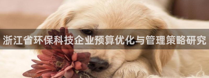 亿万个世界 科幻简介：浙江省环保科技企业预算优化与管理策略研究