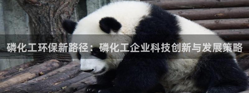 亿万先生官方客服电话：磷化工环保新路径：磷化工企业科技创新与发展策略