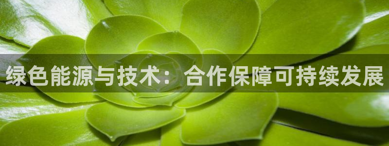 mr001亿万先生：绿色能源与技术：合作保障可持续发展