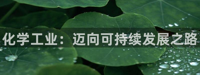 亿万网友在线解答：化学工业：迈向可持续发展之路