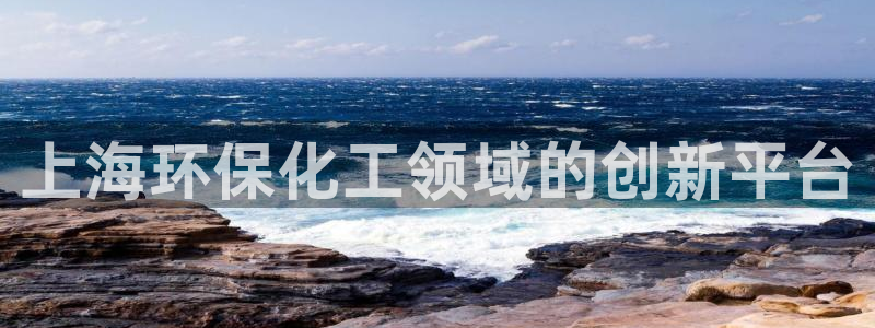 亿万先生官方客服：上海环保化工领域的创新平台