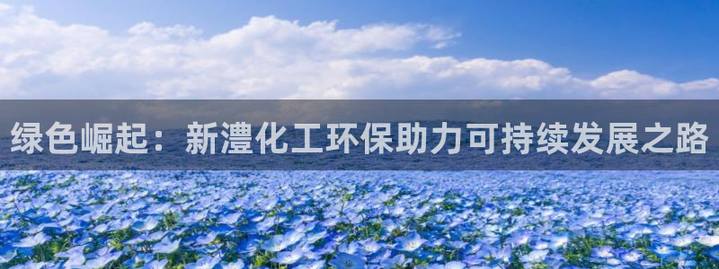 亿万先生充电桩怎么样：绿色崛起：新澧化工环保助力可持续发展之路