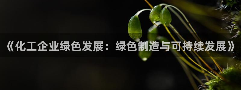 亿万先生客服：《化工企业绿色发展：绿色制造与可持续发展》
