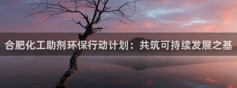 亿万先生：合肥化工助剂环保行动计划：共筑可持续发展之基