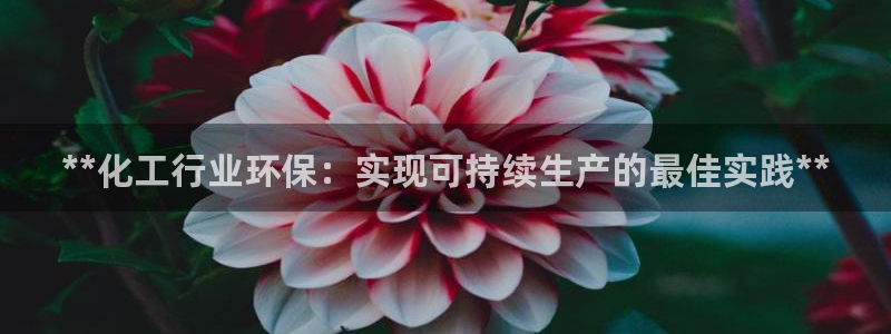 亿万先生游戏：**化工行业环保：实现可持续生产的最佳实践**