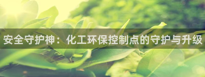 亿万网友在线实时为你解答：安全守护神：化工环保控制点的守护与升级