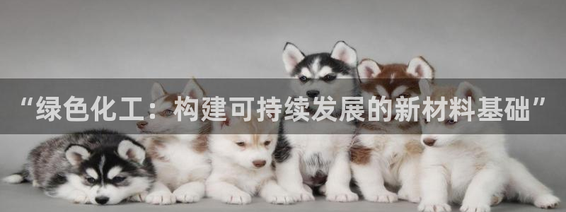 亿万先生007客服：“绿色化工：构建可持续发展的新材料基础”