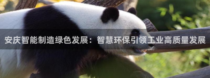 亿万剪辑：安庆智能制造绿色发展：智慧环保引领工业高质量发展
