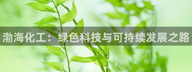 亿万集团有限公司：渤海化工：绿色科技与可持续发展之路