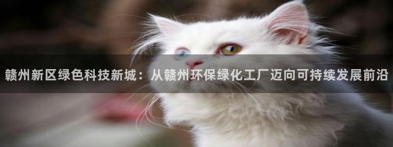 mr003亿万先生：赣州新区绿色科技新城：从赣州环保绿化工厂迈向可持续发展前沿