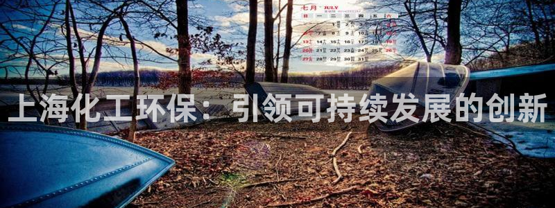 亿万先生充电桩怎么样：上海化工环保：引领可持续发展的创新