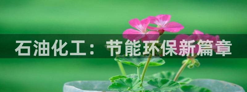 亿万网络：石油化工：节能环保新篇章