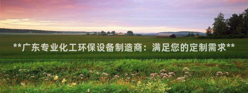 亿万先生现在的网址谁知道：**广东专业化工环保设备制造商：满足您的定制需求**