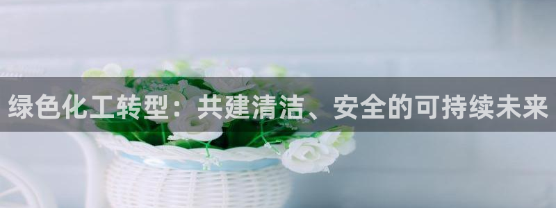 亿万先生手机版入口在哪：绿色化工转型：共建清洁、安全的可持续未来