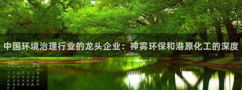 电影 亿万：中国环境治理行业的龙头企业：神雾环保和港原化工的深度