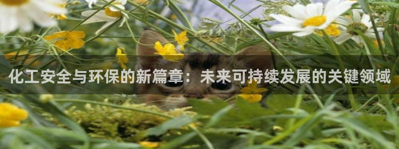 亿万首富手游兑换码：化工安全与环保的新篇章：未来可持续发展的关键领域