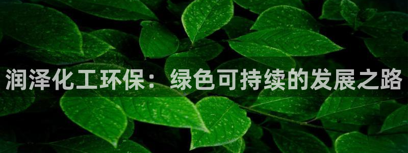 亿万先生：润泽化工环保：绿色可持续的发展之路