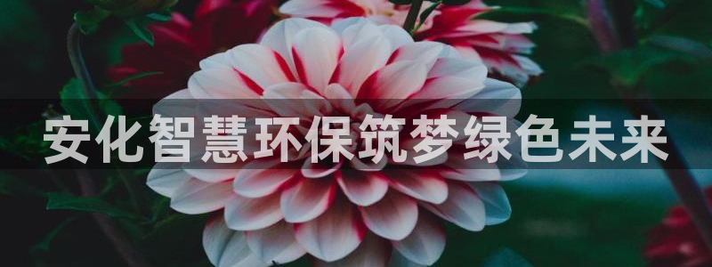 亿万下载：安化智慧环保筑梦绿色未来