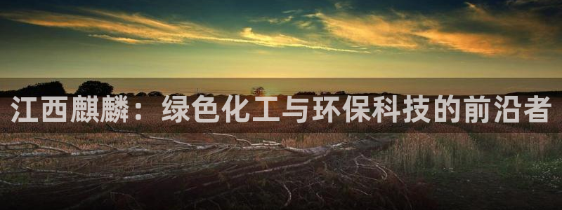 亿万笞人：江西麒麟：绿色化工与环保科技的前沿者