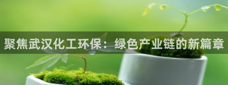 亿万官网：聚焦武汉化工环保：绿色产业链的新篇章