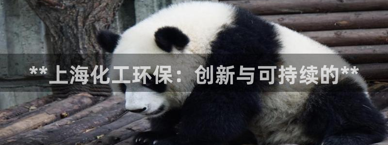 亿万集团有限公司：**上海化工环保：创新与可持续的**