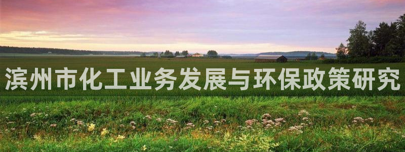 亿万先生官方登录网址：滨州市化工业务发展与环保政策研究
