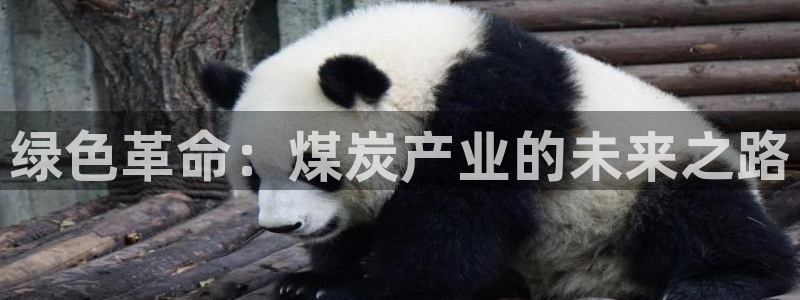 亿万千百十：绿色革命：煤炭产业的未来之路