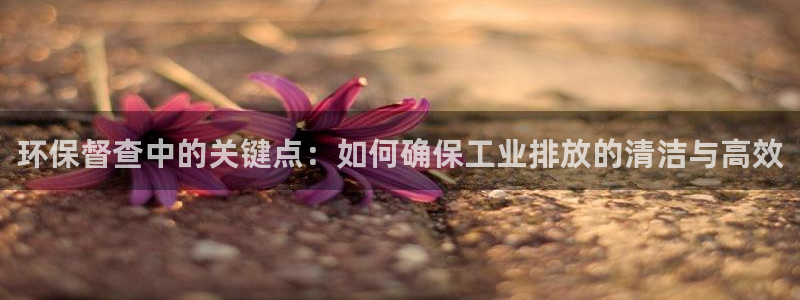 亿万先生官方网站下载