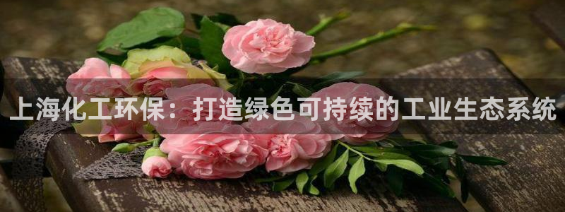 亿万先生手机网页：上海化工环保：打造绿色可持续的工业生态系统