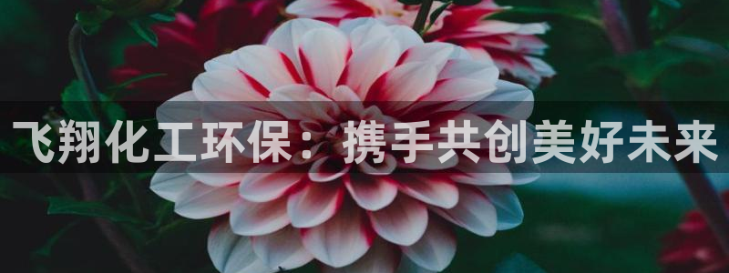亿万百度吧：飞翔化工环保：携手共创美好未来