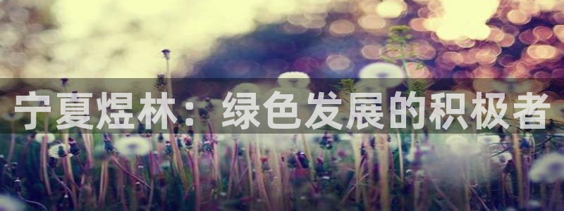 亿万先生手游下载官网：宁夏煜林：绿色发展的积极者