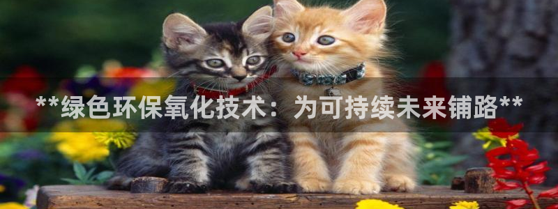 亿万视频：**绿色环保氧化技术：为可持续未来铺路**