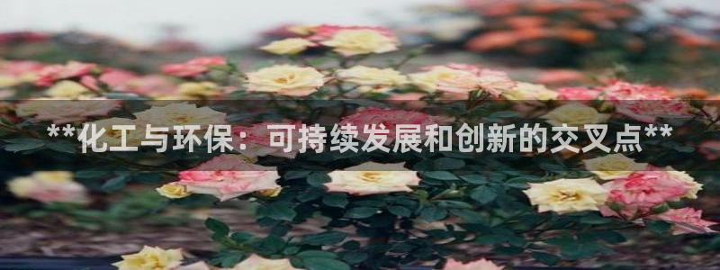 亿万先生mr014：**化工与环保：可持续发展和创新的交叉点**