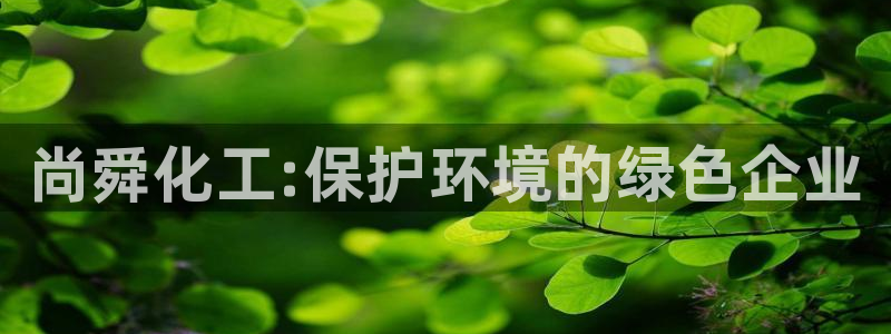 亿万官网手机登录：尚舜化工:保护环境的绿色企业