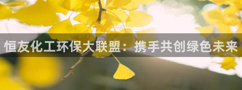 mr07亿万先生：恒友化工环保大联盟：携手共创绿色未来