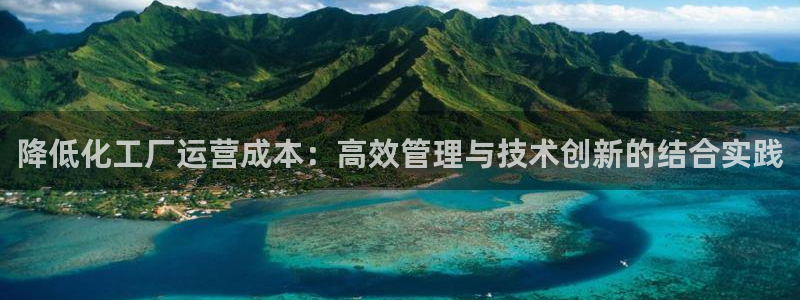 亿万城市手游：降低化工厂运营成本：高效管理与技术创新的结合实践