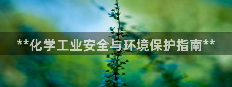 亿万先生手机版客户端下载官网：**化学工业安全与环境保护指南**