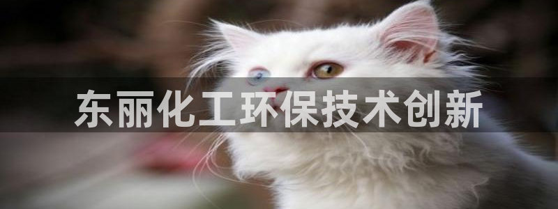 亿万先生网站：东丽化工环保技术创新