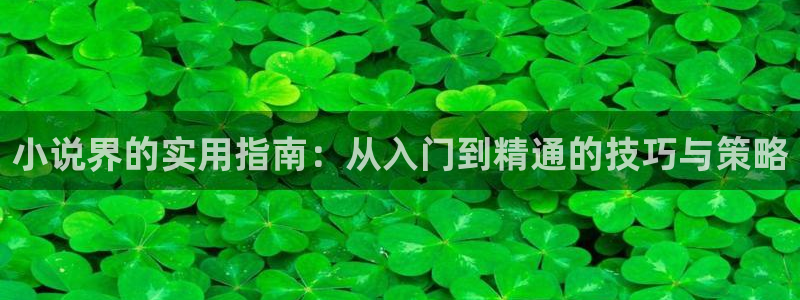 狂枭奇书网下载